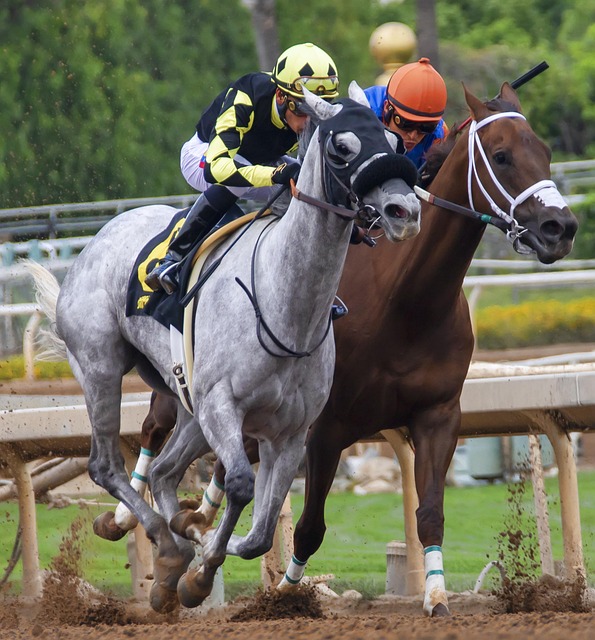 针对不同对 针对不同对